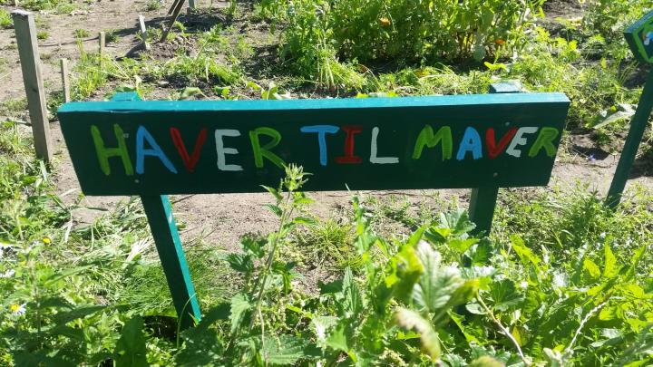 Køkkenhave med skilt